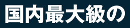 国内最大級の